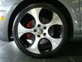 2010 Volkswagen GTI 4 Door Wheel and Tire Photo