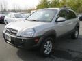 Sahara Silver - Tucson GLS V6 4x4 Photo No. 1