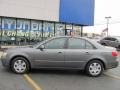 Willow Gray - Sonata GLS Photo No. 13