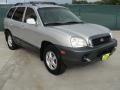Pewter - Santa Fe GLS Photo No. 1