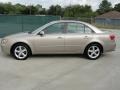 Golden Beige - Sonata LX V6 Photo No. 6
