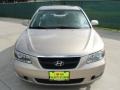 Golden Beige - Sonata LX V6 Photo No. 8
