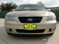 Golden Beige - Sonata LX V6 Photo No. 9