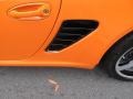 2008 Orange Porsche Boxster Limited Edition  photo #12