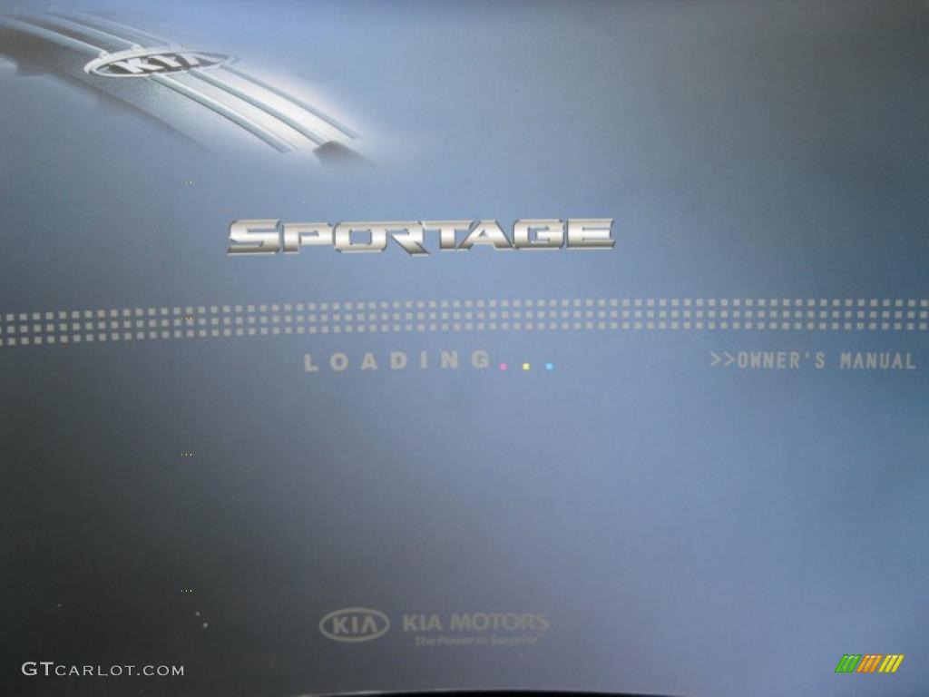 2010 Sportage LX - Steel Silver / Black photo #28