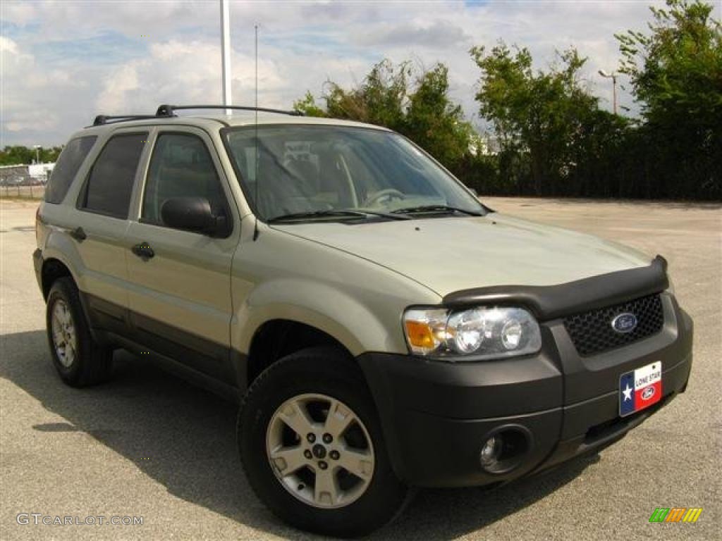 2006 Escape XLT V6 - Gold Ash Metallic / Medium/Dark Pebble photo #1