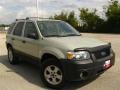 Gold Ash Metallic 2006 Ford Escape XLT V6