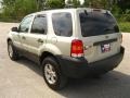 2006 Gold Ash Metallic Ford Escape XLT V6  photo #5