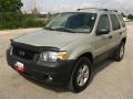 Gold Ash Metallic - Escape XLT V6 Photo No. 7