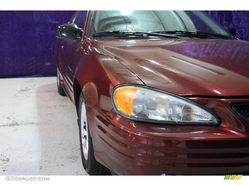 2000 Grand Am SE Coupe - Auburn Mist Metallic / Dark Taupe photo #11