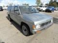 Platinum Metallic 1993 Nissan Hardbody Truck Extended Cab