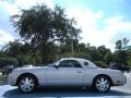 Platinum Silver Metallic 2005 Ford Thunderbird Premium Roadster Exterior