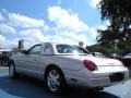 Platinum Silver Metallic - Thunderbird Premium Roadster Photo No. 3