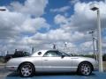 2005 Platinum Silver Metallic Ford Thunderbird Premium Roadster  photo #6