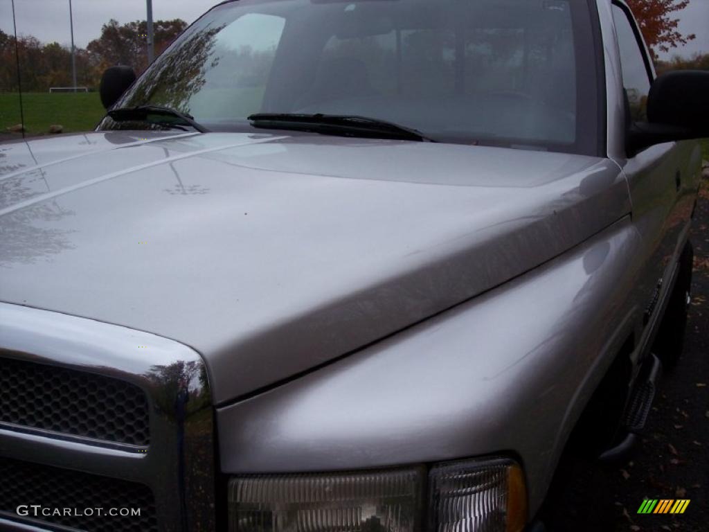 2001 Ram 2500 SLT Regular Cab 4x4 - Bright Silver Metallic / Mist Gray photo #20