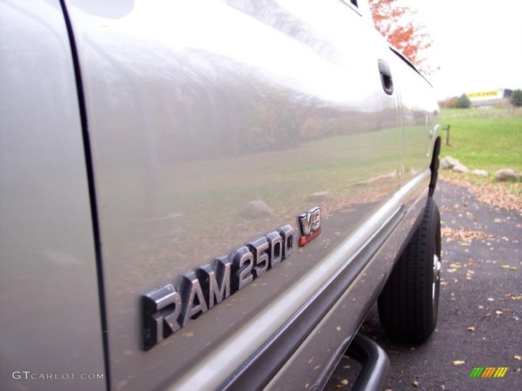 2001 Ram 2500 SLT Regular Cab 4x4 - Bright Silver Metallic / Mist Gray photo #21