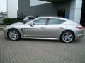 Platinum Silver Metallic - Panamera 4S Photo No. 8