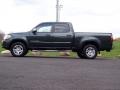 Timberland Mica - Tundra SR5 Double Cab Photo No. 5