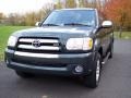 Timberland Mica - Tundra SR5 Double Cab Photo No. 12
