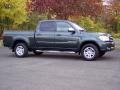 Timberland Mica - Tundra SR5 Double Cab Photo No. 16
