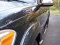 Timberland Mica - Tundra SR5 Double Cab Photo No. 47