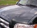 Timberland Mica - Tundra SR5 Double Cab Photo No. 48