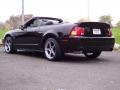 2001 Black Ford Mustang GT Convertible  photo #1