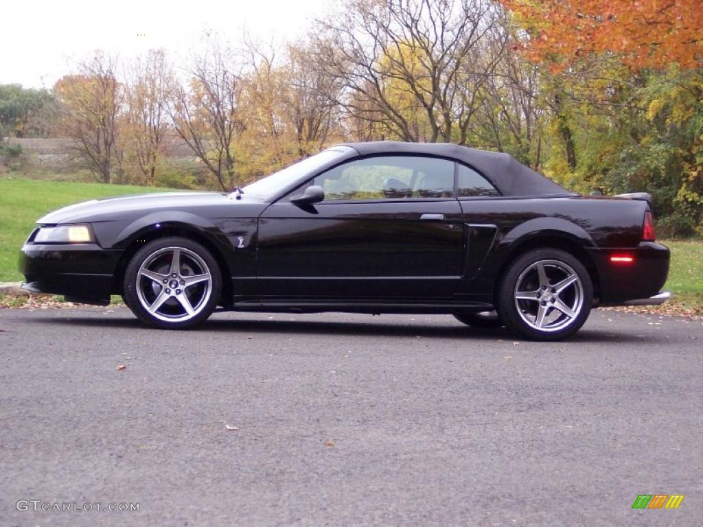 2001 Mustang GT Convertible - Black / Dark Charcoal photo #3