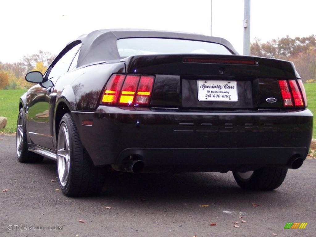 2001 Mustang GT Convertible - Black / Dark Charcoal photo #7