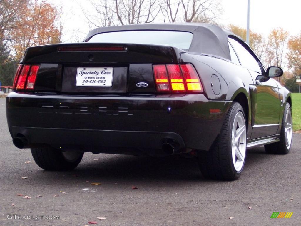 2001 Mustang GT Convertible - Black / Dark Charcoal photo #8