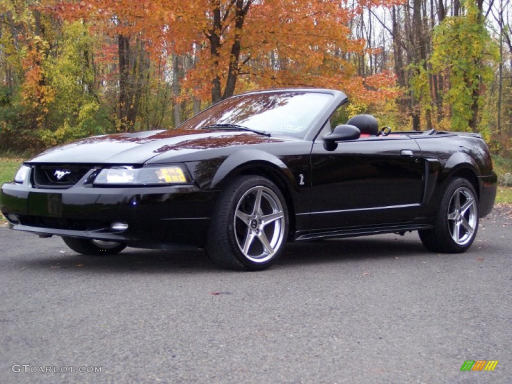 2001 Mustang GT Convertible - Black / Dark Charcoal photo #12
