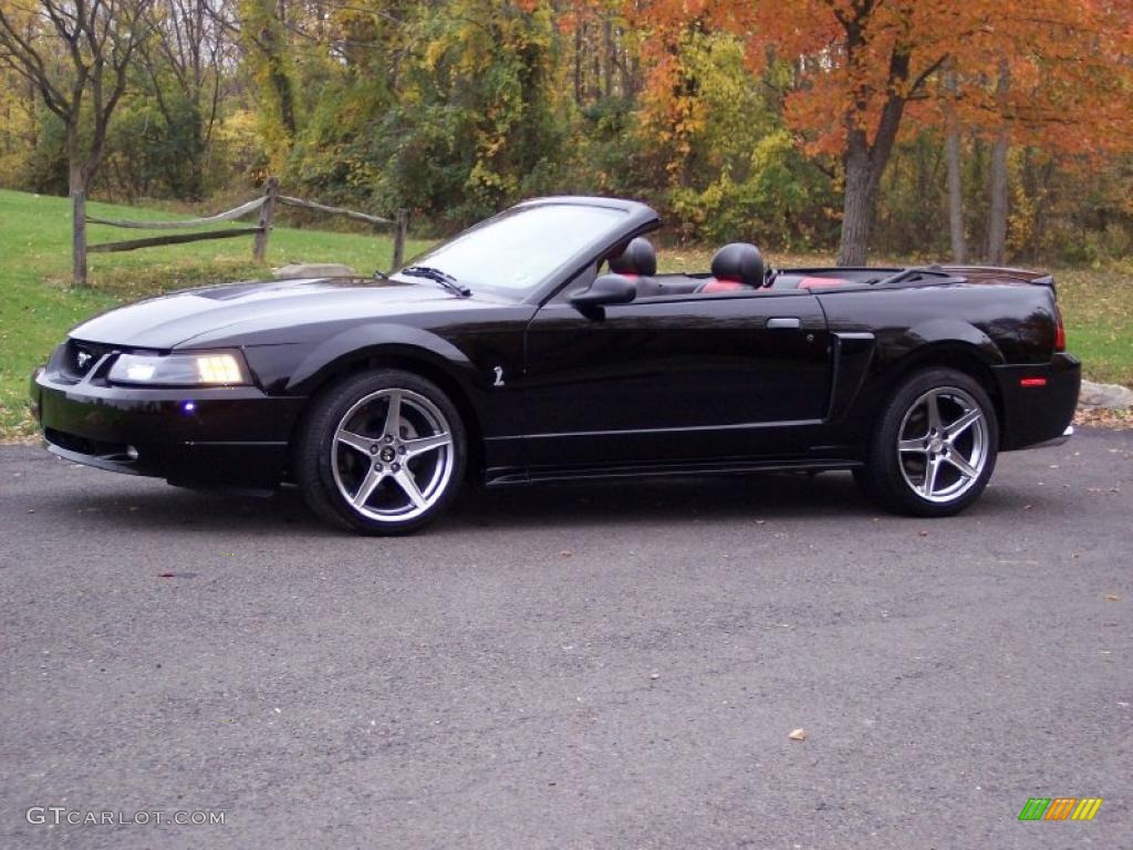 2001 Mustang GT Convertible - Black / Dark Charcoal photo #13