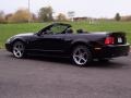 2001 Black Ford Mustang GT Convertible  photo #15
