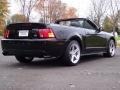 2001 Black Ford Mustang GT Convertible  photo #18