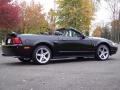 2001 Black Ford Mustang GT Convertible  photo #19