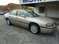 Sandrift Metallic - Impala  Photo No. 2