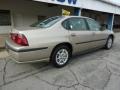 Sandrift Metallic - Impala  Photo No. 10