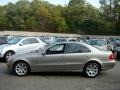 Pewter Metallic - E 350 4Matic Sedan Photo No. 3