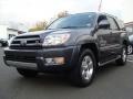 2004 Galactic Gray Mica Toyota 4Runner Limited 4x4  photo #3