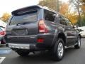 2004 Galactic Gray Mica Toyota 4Runner Limited 4x4  photo #4