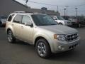 2011 Gold Leaf Metallic Ford Escape Limited 4WD  photo #3