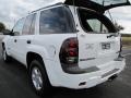 2002 Summit White Chevrolet TrailBlazer LS  photo #9