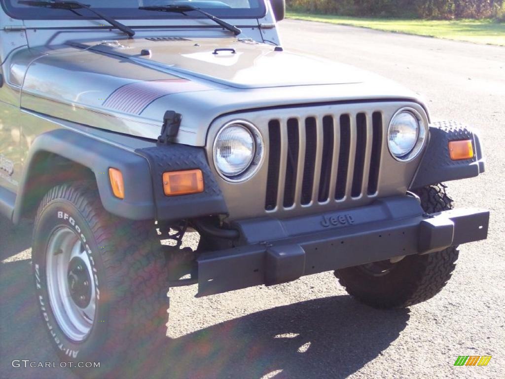 2004 Wrangler SE 4x4 - Light Khaki Metallic / Khaki photo #7