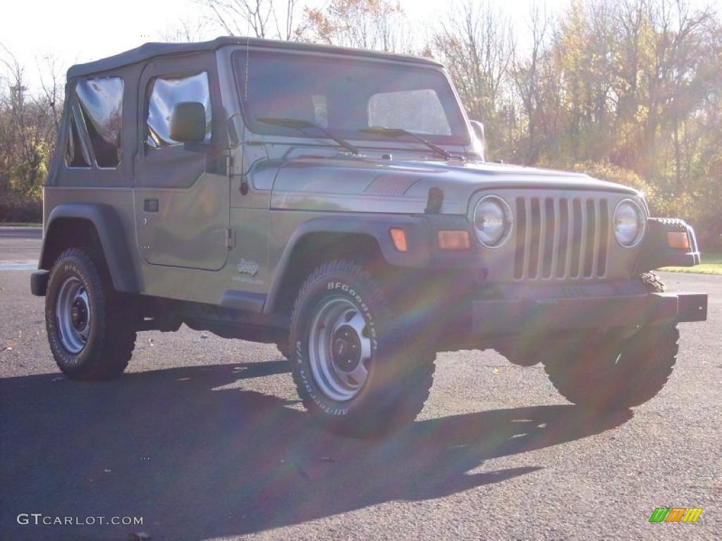2004 Wrangler SE 4x4 - Light Khaki Metallic / Khaki photo #8