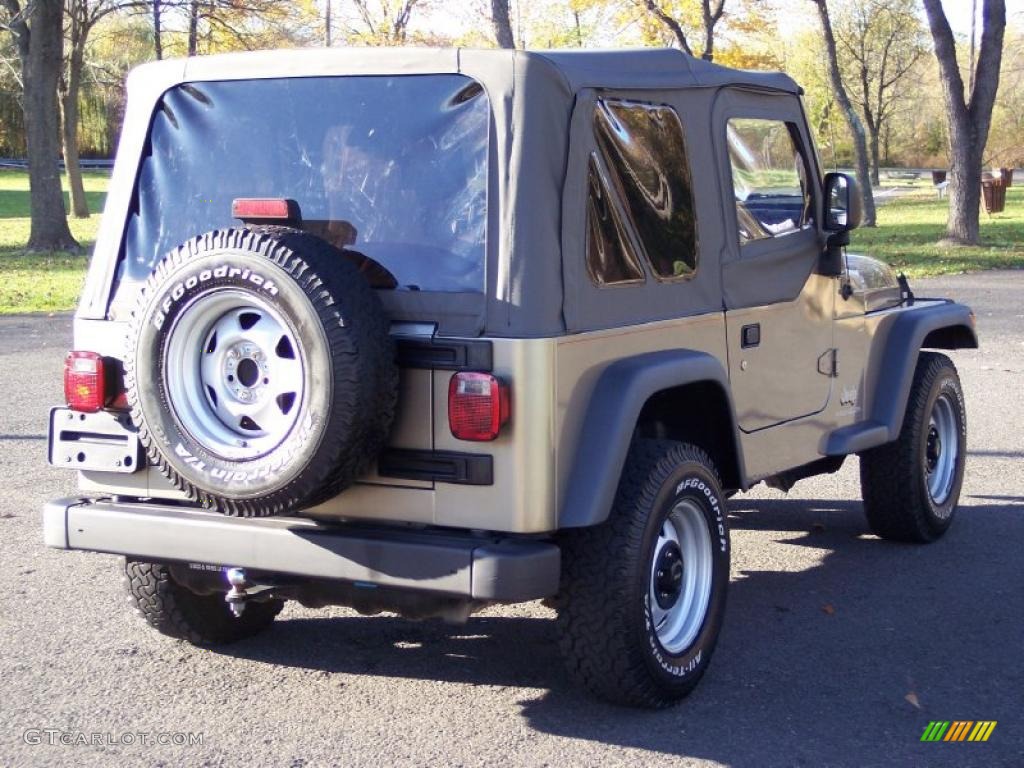 2004 Wrangler SE 4x4 - Light Khaki Metallic / Khaki photo #11