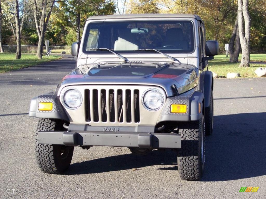 2004 Wrangler SE 4x4 - Light Khaki Metallic / Khaki photo #13