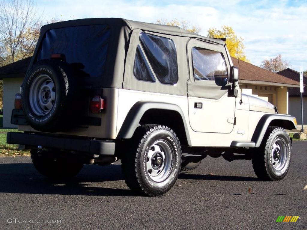 2004 Wrangler SE 4x4 - Light Khaki Metallic / Khaki photo #18