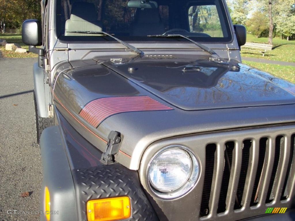 2004 Wrangler SE 4x4 - Light Khaki Metallic / Khaki photo #19