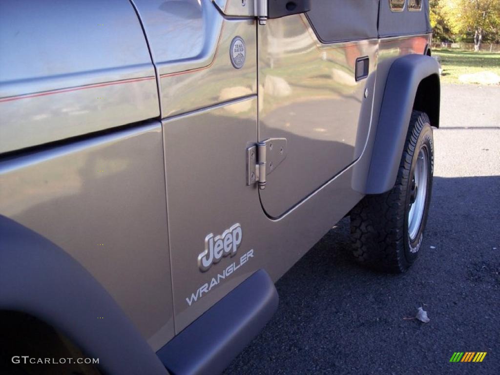 2004 Wrangler SE 4x4 - Light Khaki Metallic / Khaki photo #21