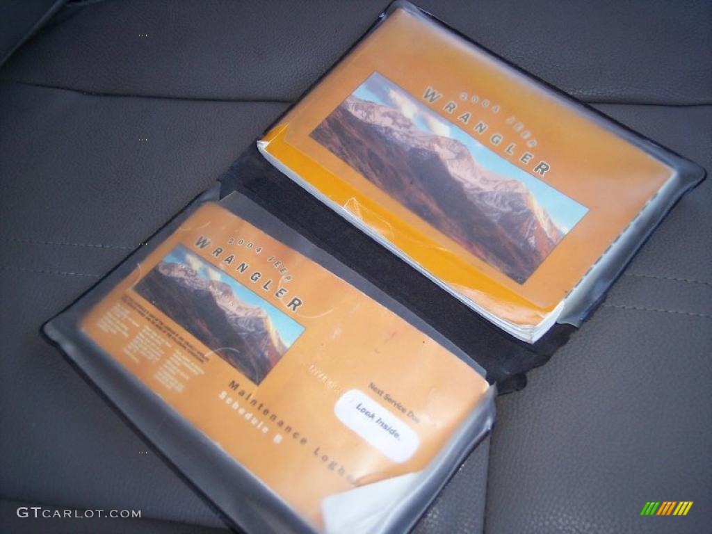 2004 Wrangler SE 4x4 - Light Khaki Metallic / Khaki photo #42